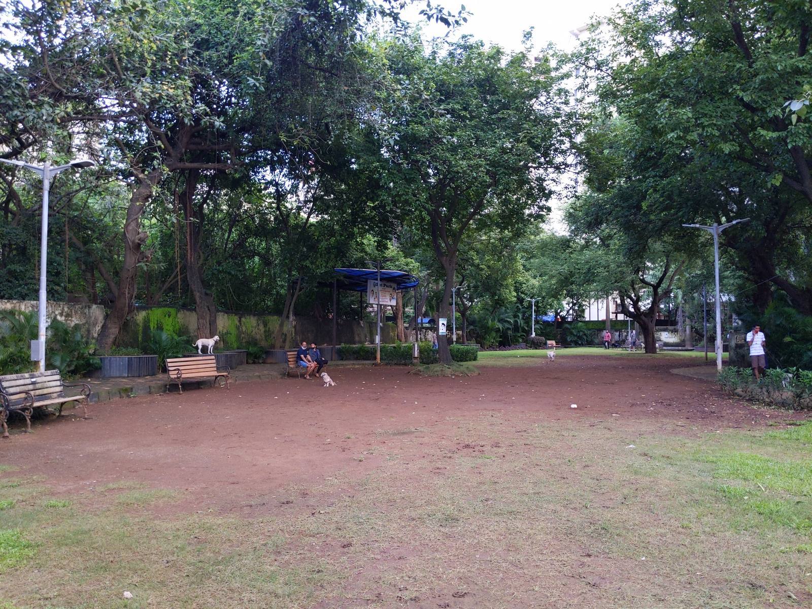 Pet Park 1